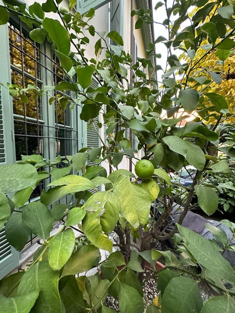 토리노 Della Rocca Urban Relais 아파트 외부 사진
